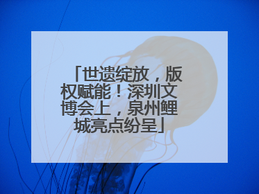 世遗绽放，版权赋能！深圳文博会上，泉州鲤城亮点纷呈
