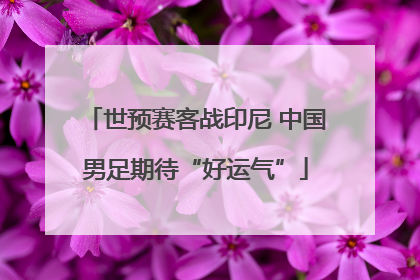 世预赛客战印尼 中国男足期待“好运气”
