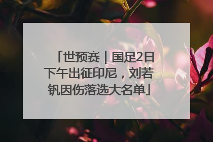 世预赛｜国足2日下午出征印尼，刘若钒因伤落选大名单
