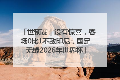 世预赛｜没有惊喜，客场0比1不敌印尼，国足无缘2026年世界杯