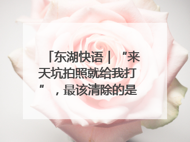 东湖快语｜“来天坑拍照就给我打”，最该清除的是“护短”思维