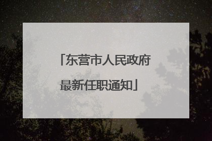 东营市人民政府最新任职通知