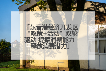 东营港经济开发区“政策+活动”双轮驱动 提振消费能力 释放消费潜力