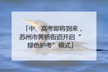 中、高考即将到来，苏州市黄桥街道开启“绿色护考”模式