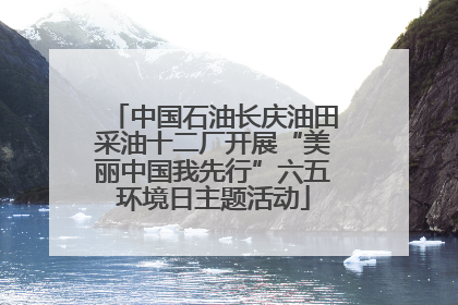 中国石油长庆油田采油十二厂开展“美丽中国我先行”六五环境日主题活动