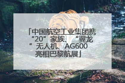 中国航空工业集团携“20”家族、“翼龙”无人机、AG600亮相巴黎航展