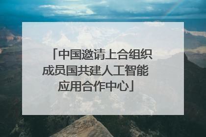 中国邀请上合组织成员国共建人工智能应用合作中心