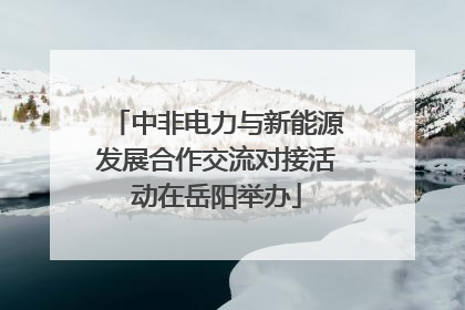 中非电力与新能源发展合作交流对接活动在岳阳举办