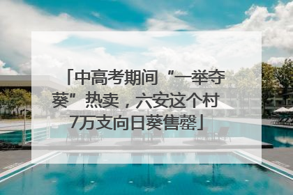 中高考期间“一举夺葵”热卖，六安这个村7万支向日葵售罄