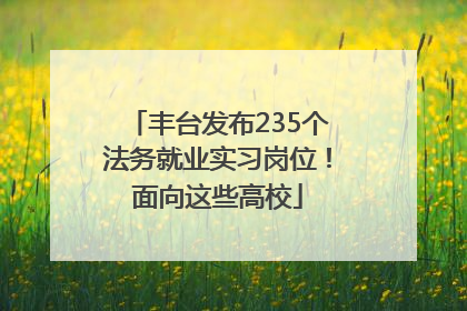 丰台发布235个法务就业实习岗位！面向这些高校