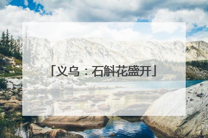 义乌：石斛花盛开