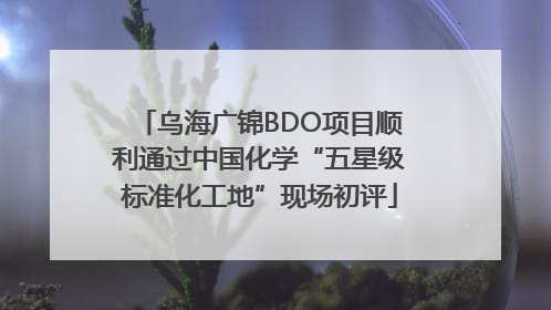 乌海广锦BDO项目顺利通过中国化学“五星级标准化工地”现场初评