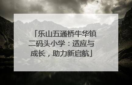 乐山五通桥牛华镇二码头小学：适应与成长，助力新启航