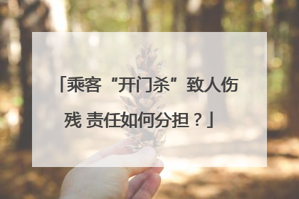乘客“开门杀”致人伤残 责任如何分担？