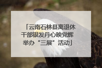 云南石林县离退休干部银发丹心映党辉举办“三展”活动
