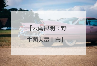 云南昆明：野生菌大量上市