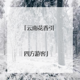 云南花香引四方游客