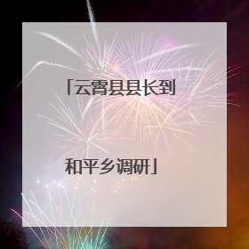 云霄县县长到和平乡调研