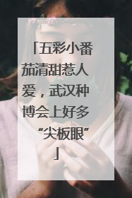 五彩小番茄清甜惹人爱，武汉种博会上好多“尖板眼”