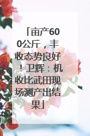 亩产600公斤，丰收态势良好！卫辉：机收比武田现场测产出结果