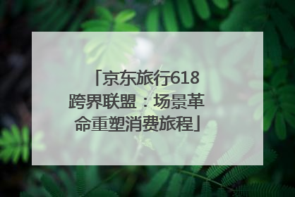 京东旅行618跨界联盟：场景革命重塑消费旅程