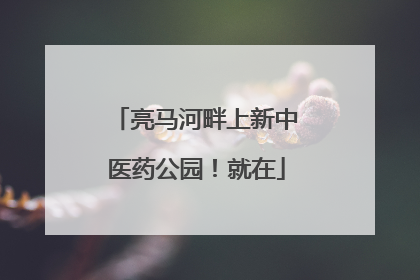 亮马河畔上新中医药公园！就在
