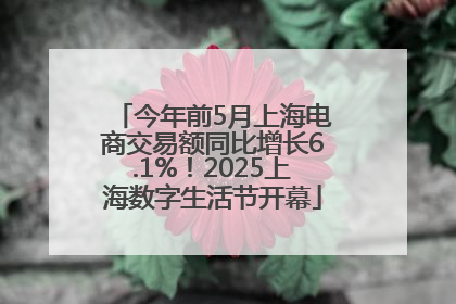 今年前5月上海电商交易额同比增长6.1%！2025上海数字生活节开幕