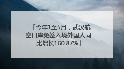 今年1至5月，武汉航空口岸免签入境外国人同比增长160.87%