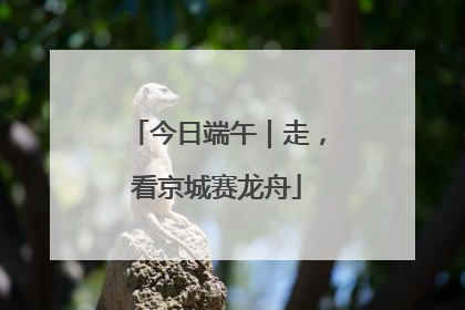 今日端午｜走，看京城赛龙舟