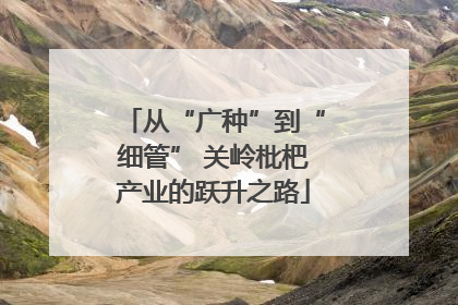 从“广种”到“细管” 关岭枇杷产业的跃升之路