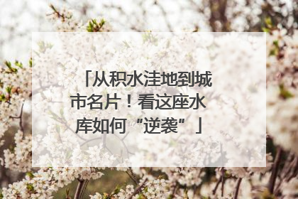 从积水洼地到城市名片！看这座水库如何“逆袭”