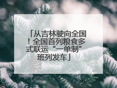 从吉林驶向全国！全国首列粮食多式联运“一单制”班列发车