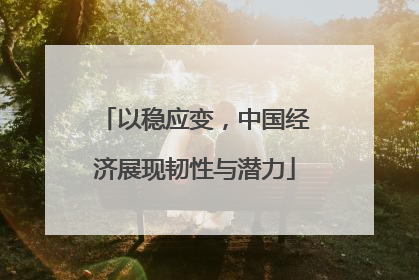 以稳应变，中国经济展现韧性与潜力