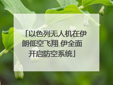 以色列无人机在伊朗低空飞翔 伊全面开启防空系统