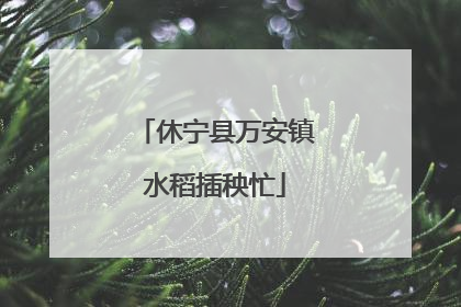 休宁县万安镇水稻插秧忙