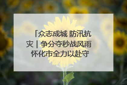 众志成城 防汛抗灾｜争分夺秒战风雨 怀化市全力以赴守护人民群众安全