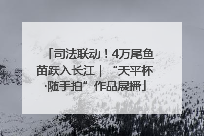 司法联动！4万尾鱼苗跃入长江｜“天平杯·随手拍”作品展播