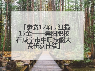 参赛12项，狂揽15金——崇阳职校在咸宁市中职技能大赛斩获佳绩