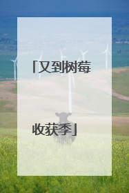 又到树莓收获季