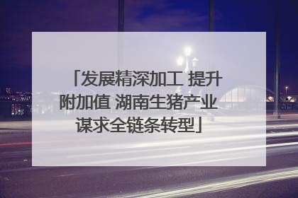 发展精深加工 提升附加值 湖南生猪产业谋求全链条转型