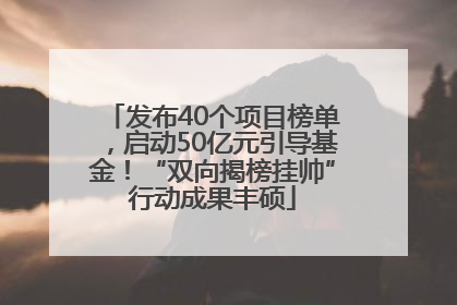 发布40个项目榜单，启动50亿元引导基金！“双向揭榜挂帅”行动成果丰硕
