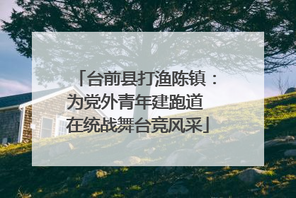 台前县打渔陈镇：为党外青年建跑道 在统战舞台竞风采