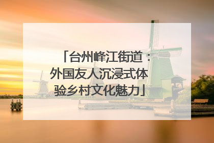 台州峰江街道：外国友人沉浸式体验乡村文化魅力