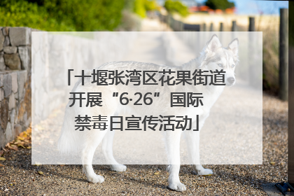 十堰张湾区花果街道开展“6·26”国际禁毒日宣传活动
