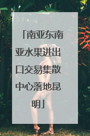 南亚东南亚水果进出口交易集散中心落地昆明