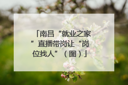 南昌“就业之家”直播带岗让“岗位找人”（图）