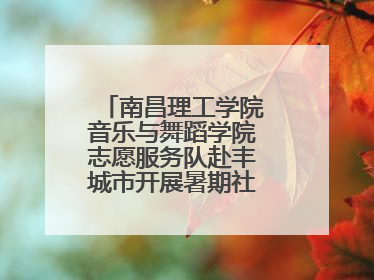 南昌理工学院音乐与舞蹈学院志愿服务队赴丰城市开展暑期社会实践活动