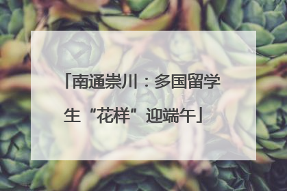 南通崇川：多国留学生“花样”迎端午