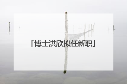 博士洪欣拟任新职