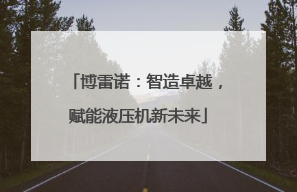 博雷诺：智造卓越，赋能液压机新未来